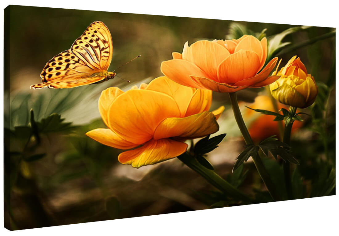 Akustikbild mit gelben Blumen und Schmetterling Fotoaufdruck