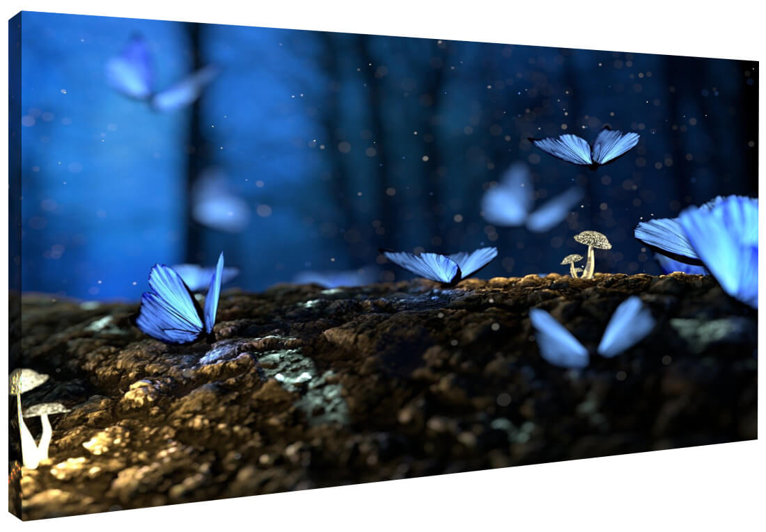 Akustikbild mit einem Fotoaufdruck blauer Schmetterlinge